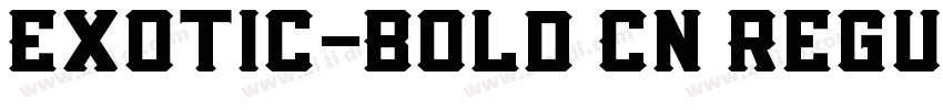 Exotic-Bold Cn Regul字体转换